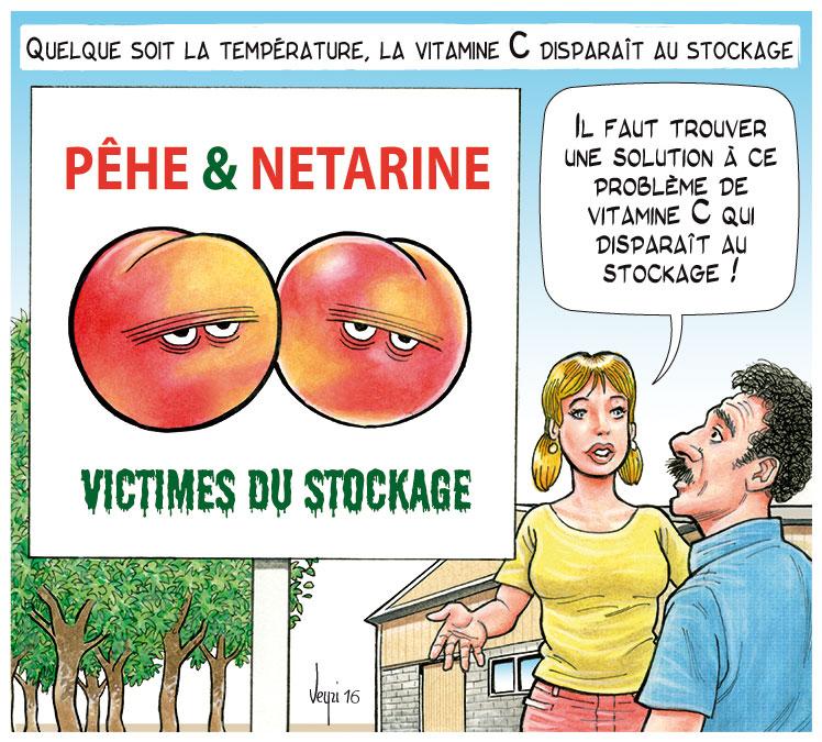 stockage nectarines